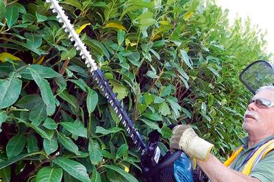 Makita EH7500W - image: HW